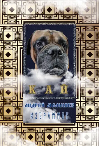 Обложка книги Кай