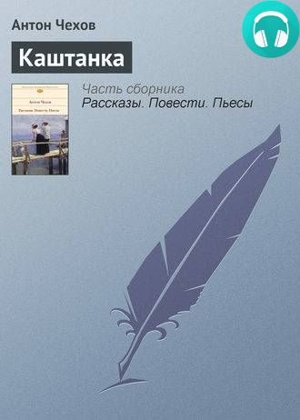 Обложка книги Каштанка (спектакль)